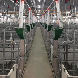 Steel Structure Modern Piggery Breeding