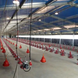 Prefabricated Breeding Factory For Egg Production