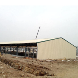 Chicken Farm Steel Structure