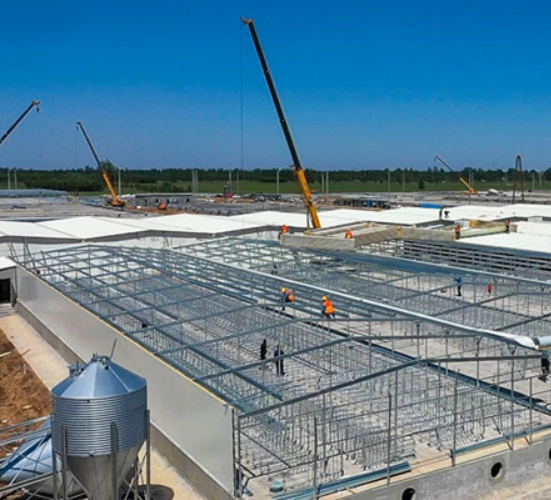 Steel Structure Solutions for Modern Piggery Breeding